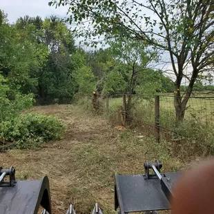 a giraffe standing in a field