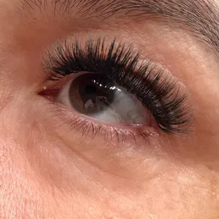 Volume lashes #559