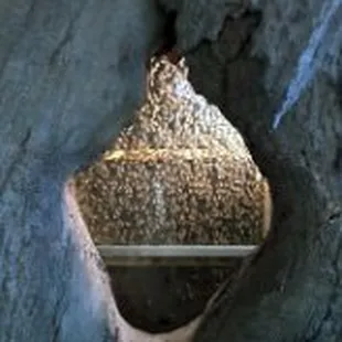 The live beehive on the third floor.