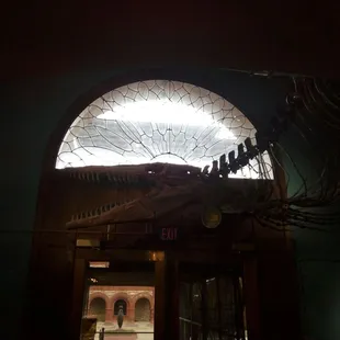 Mosasaur guarding the door