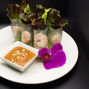 Fresh Spring Rolls!