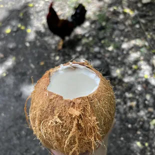 fresh coconut $7