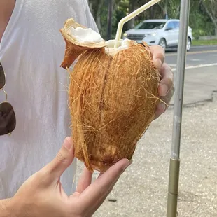 Coconut