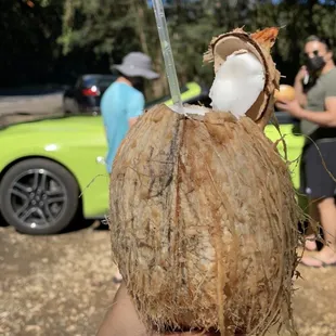 Coconut