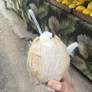 a hand holding a coconut