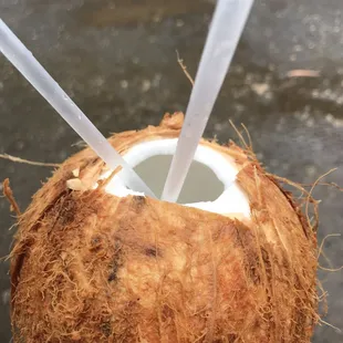 a coconut with a straw sticking out of it