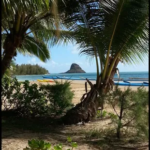 Relax or play at our private Secret Island