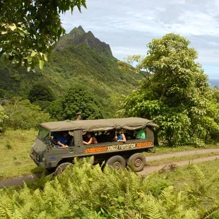 Jungle Expedition into Hakipu'u Valley