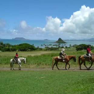 One Hour Horseback Tour