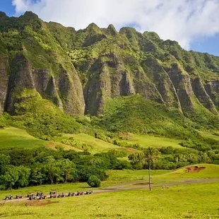 All terrain vehicles explore scenic Ka`a`awa where many movies and TV shows were filmed.