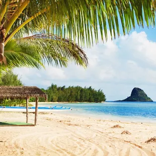 Secret Island includes canoes, kayaks, stand-up paddleboards, beach volleyball and more!