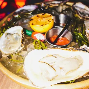 shellfish, oysters, mussels, oysters and mussels, food