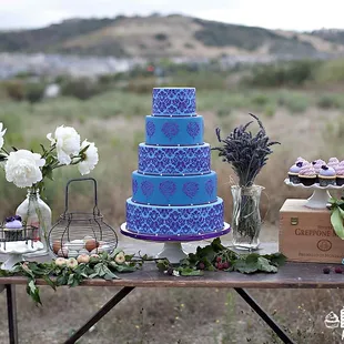 Custom Cake + Cupcakes