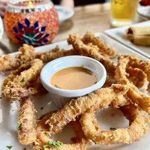 Fried Calamari