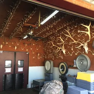 Kuby's Wild Game Processing Plant.   It's where ya drop off your game.