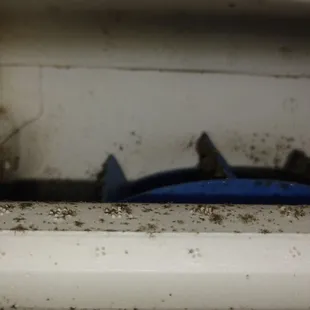 Black mold on sides and fungus on fan blades