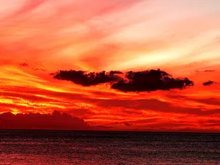 Beach Lovers Hawaii