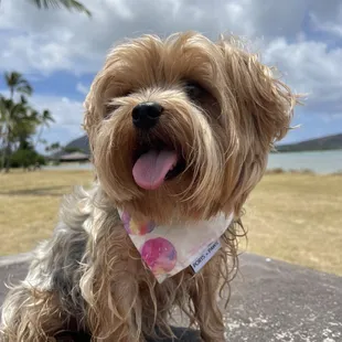 Kuliouou Beach Park