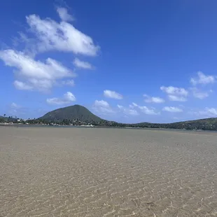 view south from the water