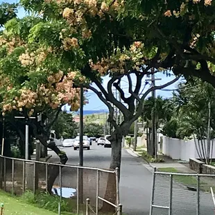 Peek-a-boo view of ocean