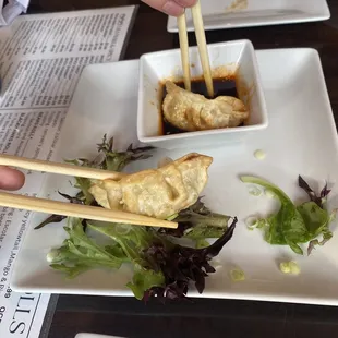 Chicken Gyoza - Fried