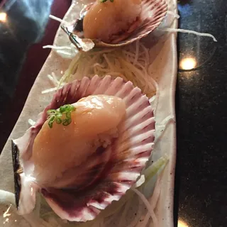 Pink Scallop