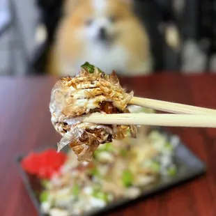 Takoyaki: Octopus Balls w/ mayo, okonomi sauce, bonito flakes, scallions | 6 pc - $8.50 (one dog-friendly outdoor table)