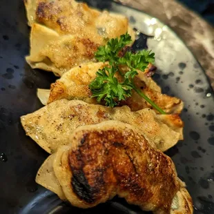 Awarding winning gyoza
