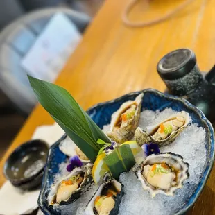 Fresh oysters  shigoku oyster from Washington  fatty &amp; fresh