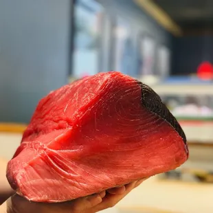 Blue fin back side
