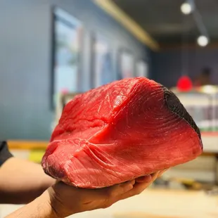 Blue fin back side