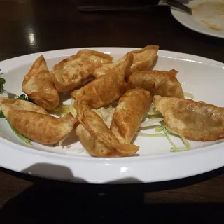 Fried Meat Dumplings