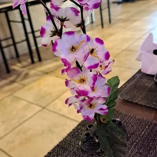 Fish Tank Decoration As A Garnish