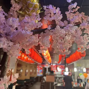 cherry blossoms in a restaurant