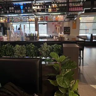 View of the bar