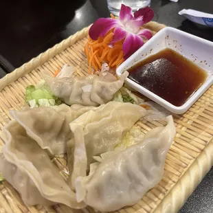 Gyoza