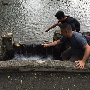 Waterfall...removing the leaves