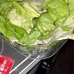 Lettuce slime posing as lettuce cups