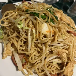 Pan Fried Noodles