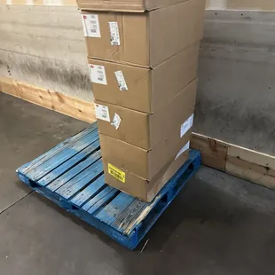 Chicken sitting in the hallway