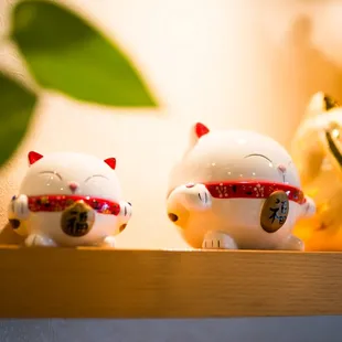 Cute cats