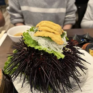 Uni