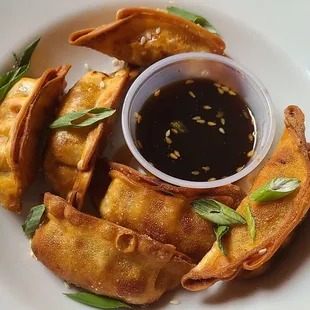 Vegan Jackfruit potstickers, 2023 Vegan Chef Challenge