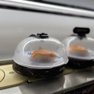 Bottom Conveyor belt