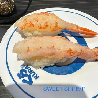 Shrimp