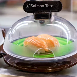 salmon in a glass dome