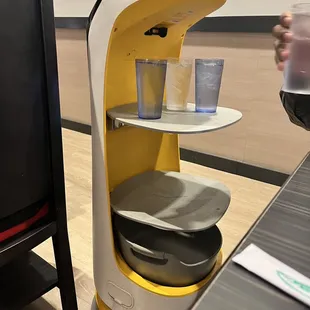 Tiny Water Serving Robot