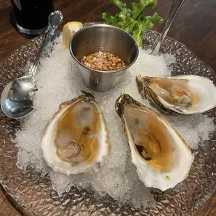 Oysters