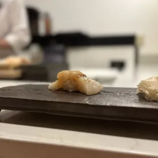 Scallop