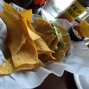 Gator Tacos